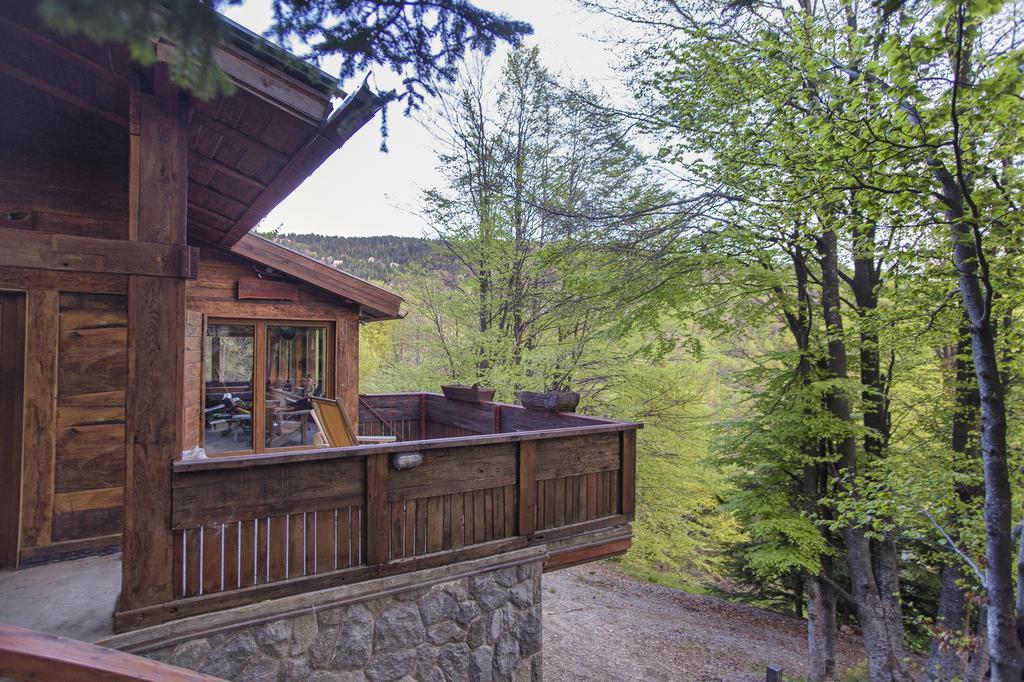 Guesthouse Sejn Kopaonik Quarto foto